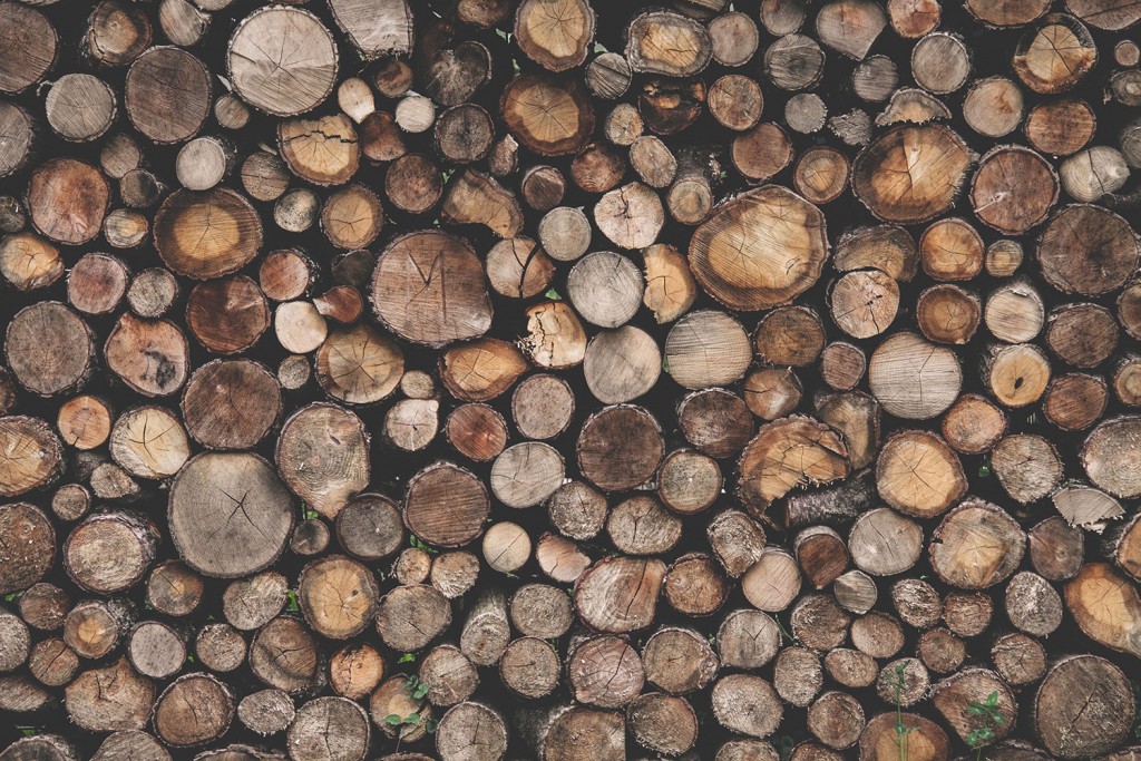 A Pile Of Logs